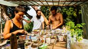 Loin des multinationales et de la mondialisation, Mundo Nuevo et ses volontaires cultivent leurs semences et leurs produits sur le modèle de la permaculture. Loin des multinationales et de la mondialisation, Mundo Nuevo et ses volontaires cultivent leurs semences et leurs produits sur le modèle de la permaculture.