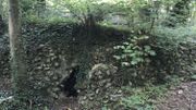 L'une des grottes artificielles du parc Walckiers, avec un socle de statue qu'on distingue au sommet L'une des grottes artificielles du parc Walckiers, avec un socle de statue qu'on distingue au sommet