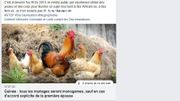 Ces images que nous n'aurions pas dû publier : pourquoi nos articles sont parfois mal illustrés Ces images que nous n'aurions pas dû publier : pourquoi nos articles sont parfois mal illustrés