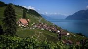 La Suisse, son chocolat, ses fromages... Et bientôt ses vins? La Suisse, son chocolat, ses fromages... Et bientôt ses vins?