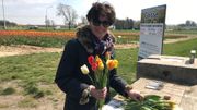 Maria Bommers et sa famille ont déjà planté 14 champs de fleurs à couper Maria Bommers et sa famille ont déjà planté 14 champs de fleurs à couper
