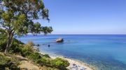 Chypre promet de payer les soins des touristes ayant attrapé le Covid-19 sur l'île Chypre promet de payer les soins des touristes ayant attrapé le Covid-19 sur l'île