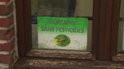 La ferme des Dubois n'utilise pas de persticides La ferme des Dubois n'utilise pas de persticides