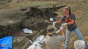 Dinosaures : des fossiles racontent le moment où un astéroïde a changé la vie sur Terre Dinosaures : des fossiles racontent le moment où un astéroïde a changé la vie sur Terre
