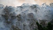 L'Est de l'Australie asphyxié par la fumée des incendies L'Est de l'Australie asphyxié par la fumée des incendies