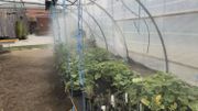Frasnes-Lez-Anvaing : un nouveau centre de compétence du Forem pour le secteur Vert. Place à l'agriculture 2.0 Frasnes-Lez-Anvaing : un nouveau centre de compétence du Forem pour le secteur Vert. Place à l'agriculture 2.0