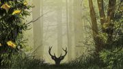 Le cerf, une histoire de passion Le cerf, une histoire de passion