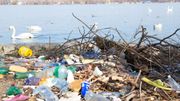 Plaie des océans, les microplastiques contaminent aussi les fleuves européens Plaie des océans, les microplastiques contaminent aussi les fleuves européens