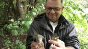 Vincent Bulteau adore les oiseaux. Il tient dans ses mains deux fauvettes à tête noire. Celle avec la tête noire est le mâle, et celle avec la tête brune est la femelle Vincent Bulteau adore les oiseaux. Il tient dans ses mains deux fauvettes à tête noire. Celle avec la tête noire est le mâle, et celle avec la tête brune est la femelle