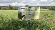 Grâce au programme européen Life, des mares vont être construites dans le maillage de réserves naturelles Grâce au programme européen Life, des mares vont être construites dans le maillage de réserves naturelles