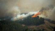L'incendie qui ravage Grande Canarie hors de contrôle, nouvelles évacuations L'incendie qui ravage Grande Canarie hors de contrôle, nouvelles évacuations
