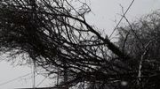 Pré-alerte routière, "plan intempéries" sur le TEC, averses hivernales… La neige est arrivée en Belgique Pré-alerte routière, "plan intempéries" sur le TEC, averses hivernales… La neige est arrivée en Belgique