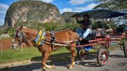 Coronavirus à CUba : du tourisme aux champs, reconversion forcée faute de visiteurs Coronavirus à CUba : du tourisme aux champs, reconversion forcée faute de visiteurs