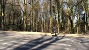 Sur la route qui ceinture le parc, les tracés au sol sont presque effacés, passages pour piétons compris Sur la route qui ceinture le parc, les tracés au sol sont presque effacés, passages pour piétons compris