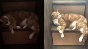 Prenez de meilleures photos de nuit avec l'app NeuralCam Prenez de meilleures photos de nuit avec l'app NeuralCam
