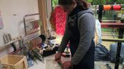 Que dit la loi à propos de la vente du muguet en rue? Que dit la loi à propos de la vente du muguet en rue?