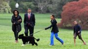 Mort de Bo, le chien de Barack Obama et star de la Maison blanche Mort de Bo, le chien de Barack Obama et star de la Maison blanche