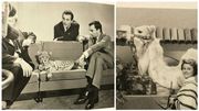 Les animaux sauvages régulièrement invités des plateaux du jardin extraordinaire dans les années 60 Les animaux sauvages régulièrement invités des plateaux du jardin extraordinaire dans les années 60