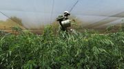 Un projet de compensation des émissions de carbone au Kenya Un projet de compensation des émissions de carbone au Kenya