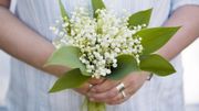 Ces fragrances qui offrent des effluves réconfortants de muguet Ces fragrances qui offrent des effluves réconfortants de muguet