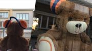Mettez vos teddys Viva for Life à la fenêtre! Mettez vos teddys Viva for Life à la fenêtre!