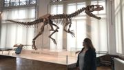 Kareen Goldfeder devant le squelette d'un allosaure de 8,7 mètres, découvert dans le Wyoming en 2013 et exposé au Musée des Sciences Naturelles jusqu'en mars 2020 Kareen Goldfeder devant le squelette d'un allosaure de 8,7 mètres, découvert dans le Wyoming en 2013 et exposé au Musée des Sciences Naturelles jusqu'en mars 2020