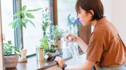 5 manières de se sentir en symbiose avec la nature, même en ville 5 manières de se sentir en symbiose avec la nature, même en ville