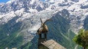 Ce samedi 1er août, la Grande Evasion vous emmène à la montagne en Savoie Mont Blanc Ce samedi 1er août, la Grande Evasion vous emmène à la montagne en Savoie Mont Blanc