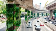 A Mexico, des citoyens recouvrent les viaducs avec des plantes A Mexico, des citoyens recouvrent les viaducs avec des plantes