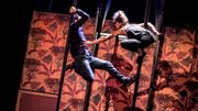 Anna Nilsson, le cirque en ébullition
