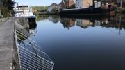Des balconnières métalliques géantes ont été fixées au quai Des balconnières métalliques géantes ont été fixées au quai