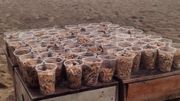 Une bière en échange d'un verre rempli de mégots pour nettoyer les plages ! Une bière en échange d'un verre rempli de mégots pour nettoyer les plages !