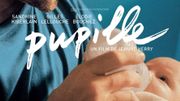 Les critiques d'Hugues Dayez avec "Pupille", la chronique sensible d'une adoption Les critiques d'Hugues Dayez avec "Pupille", la chronique sensible d'une adoption