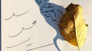 Connaissez-vous l'ombrologie ? L'art de dessiner avec des ombres ! Connaissez-vous l'ombrologie ? L'art de dessiner avec des ombres !