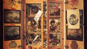 Cabinet de Curiosités peint par Domenico Remps dans les années 1690 Cabinet de Curiosités peint par Domenico Remps dans les années 1690
