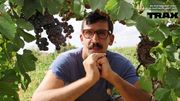 " Punkovino " : la websérie à ne pas manquer si vous aimez le bon vin et la musique psychédélique! " Punkovino " : la websérie à ne pas manquer si vous aimez le bon vin et la musique psychédélique!