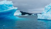 Le glacier Qooroq libère plus de 200.000 tonnes de glace chaque jour dans son fjord. Le glacier Qooroq libère plus de 200.000 tonnes de glace chaque jour dans son fjord.