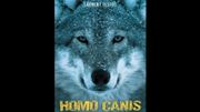 Histoire : Le chien, ce loup gris qui a choisi d'accompagner l'humain Histoire : Le chien, ce loup gris qui a choisi d'accompagner l'humain