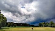 Intempéries : l’IRM lance une alerte orange aux orages sur la plupart des régions Intempéries : l’IRM lance une alerte orange aux orages sur la plupart des régions