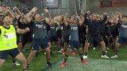 Ses coéquipiers lui font un Haka mémorable pour lui rendre hommage : il fond en larmes Ses coéquipiers lui font un Haka mémorable pour lui rendre hommage : il fond en larmes