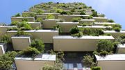 Le Bosco verticale, à Milan : un hectare de forêt verticale sur deux tours d'environ 100 mètres de haut. Le Bosco verticale, à Milan : un hectare de forêt verticale sur deux tours d'environ 100 mètres de haut.