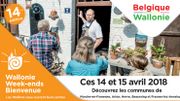 Wallonie Week-End Bienvenue... Des talents pluriels sur les ondes positives de VivaCité Wallonie Week-End Bienvenue... Des talents pluriels sur les ondes positives de VivaCité
