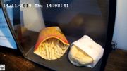 L'agonie d'un burger-frites de dix ans en direct sur la toile L'agonie d'un burger-frites de dix ans en direct sur la toile