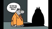Avec Son Nouvel Album Oubliez Le Coronavirus Le Chat Est Parmi Nous