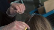 Les cheveux sont un bon indicateur de la pollution environnementale Les cheveux sont un bon indicateur de la pollution environnementale