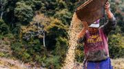 Sangay Om travaille 12 heures chaque jour dans ses champs, cette terre qui nourrit entièrement sa famille. Sangay Om travaille 12 heures chaque jour dans ses champs, cette terre qui nourrit entièrement sa famille.
