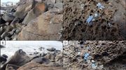 "Plasticroûte" : quelle est cette nouvelle forme de pollution ? "Plasticroûte" : quelle est cette nouvelle forme de pollution ?
