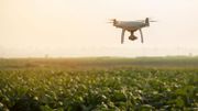 Drone de drame : Laurent ne sait pas ce qu’il peut faire avec son drone Drone de drame : Laurent ne sait pas ce qu’il peut faire avec son drone