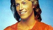 Andy Gibb Andy Gibb