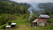 La ferme de Nubia Gaona et de ses fils à Chipaque, en Colombie, le 6 juin 2020. La ferme de Nubia Gaona et de ses fils à Chipaque, en Colombie, le 6 juin 2020.